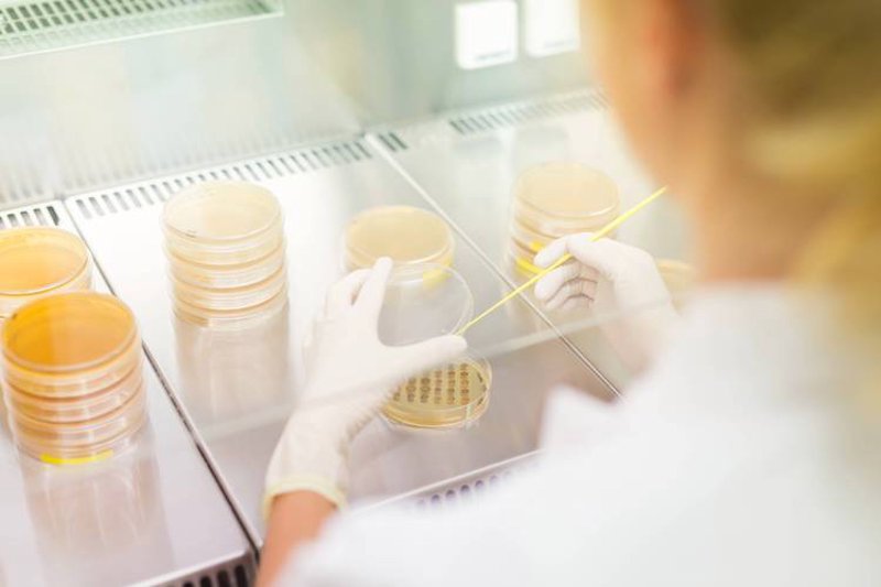 生物技术咨询：解锁行业新知的钥匙