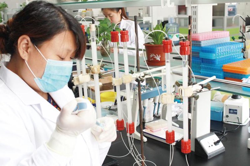 生物技术咨询：避免三大误区